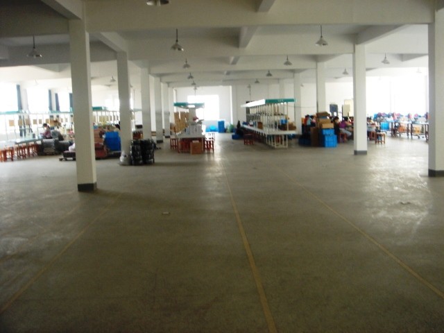 Jiashan Dingsheng Electric Co.,Ltd.